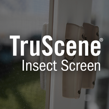 RBA-Blog-TruScene-622