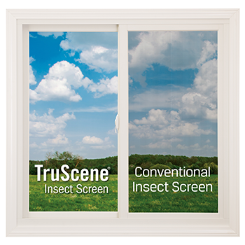 RBA-Blog-insect-screens-520